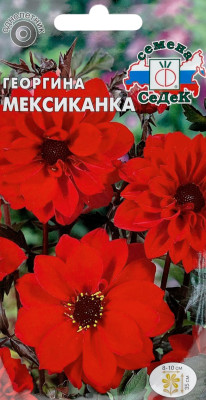 Георгина Мексиканка (ярко-красная)
