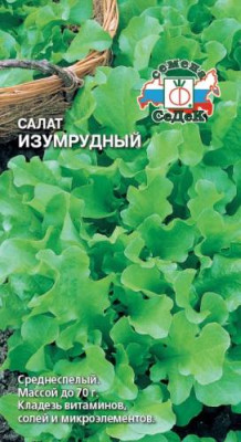 Салат Изумрудный (лист)