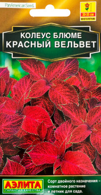 Колеус блюме Красный вельвет 10шт