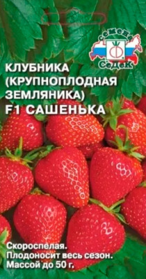 Земляника Сашенька F1 ремонтантная крупноплодная (клубника) (Евро 15)
