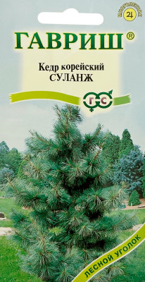Кедр корейский Суланж ГАВРИШ