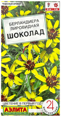 Берландиера лировидная ШОКОЛАД АЭЛИТА