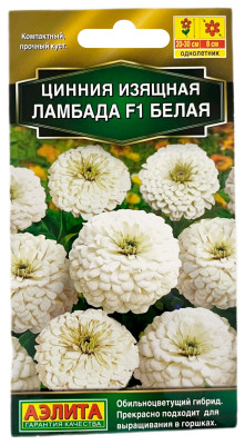 Цинния изящная ЛАМБАДА F1 белая АЭЛИТА