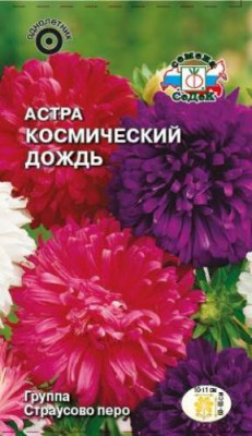 Астра Космический дождь (смесь, страусово перо)