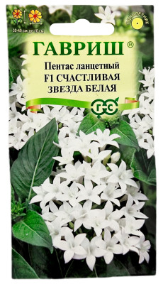 Пентас ланцетный F1 СЧАСТЛИВАЯ ЗВЕЗДА БЕЛАЯ ГАВРИШ