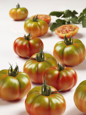 Томат Мармолада F1 10шт