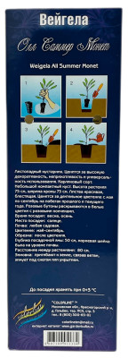 Вейгела Олл Саммер Монет