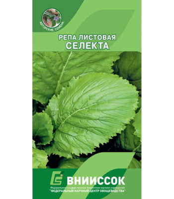 Репа листовая Селекта Репа листовая Селекта