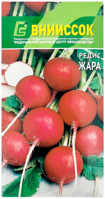 Редис ЖАРА ВНИИССОК