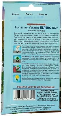 Бальзамин Беленс вайт