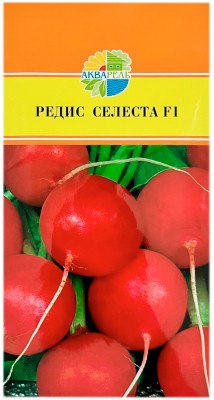 Редис Селеста F1 АКВАРЕЛЬ