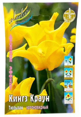 Тюльпан короновидный КИНГЗ КРАУН