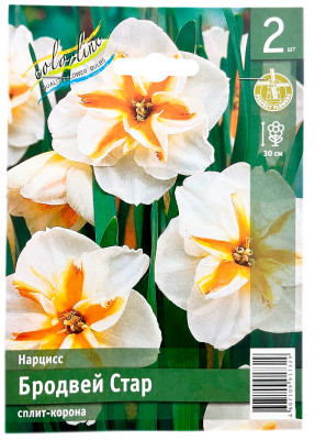 Нарцисс БРОДВЕЙ СТАР сплит-корона