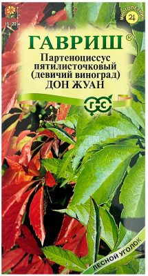Партеноциссус пятилисточковый ДОН ЖУАН (девичий виноград) ГАВРИШ