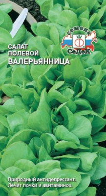 салат Валерьянница Огородная (полевой)