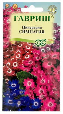 Цинерария СИМПАТИЯ смесь ГАВРИШ