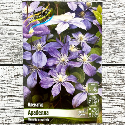 Клематис АРАБЕЛЛА