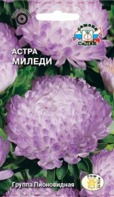 Астра Миледи