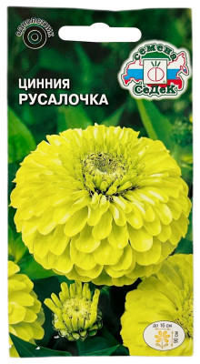 Цинния изящная георгиновидная РУСАЛОЧКА СеДеК