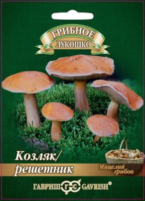 Грибы Козляк Решетник на зерновом субстрате 15 мл