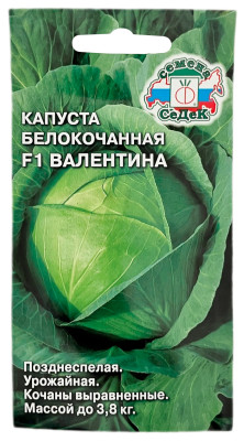 Капуста белокочанная ВАЛЕНТИНА СеДеК