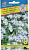 Лобелия Ривьера голубые брызги 20шт