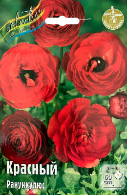 Ранункулюс Красный (10)