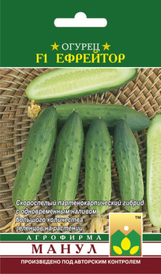 Огурец Ефрейтор F1 Огурец Ефрейтор F1