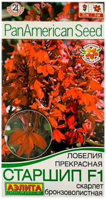 Лобелия прекрасная старшип СКАРЛЕТ БРОНЗОВОЛИСТНАЯ АЭЛИТА