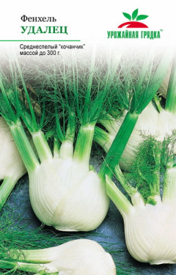 Фенхель Удалец УГ