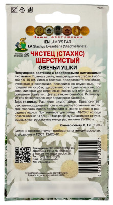 Чистец стахис шерстистый ОВЕЧЬИ УШКИ ПОИСК описание