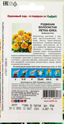 Рудбекия волосистая Летка-Енка