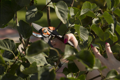 Секатор профессиональный контактный Finland 1430