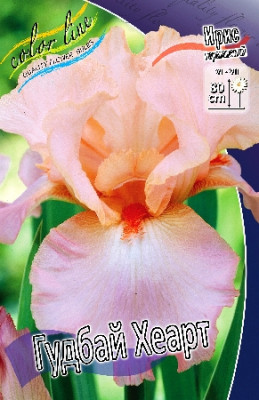 Ирис Германский Гудбай Хеарт (1шт) 4719