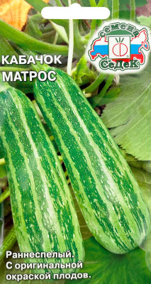 Кабачок Матрос (Евро, 2)