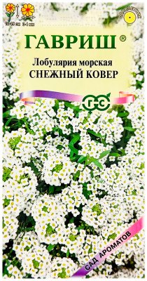 Лобулярия морская Снежный ковер ГАВРИШ
