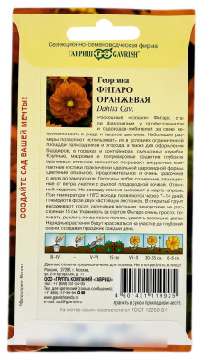 Георгина ФИГАРО ОРАНЖЕВАЯ ГАВРИШ описание