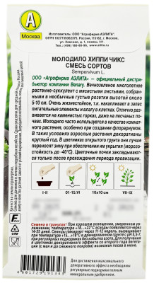 Молодило ХИППИ ЧИКС смесь сортов АЭЛИТА описание