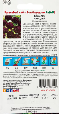 Василек Чародей черный