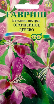 Баухиния пестрая Орхидейное дерево ГАВРИШ