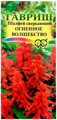 Шалфей ОГНЕННОЕ ВОЛШЕБСТВО ГАВРИШ