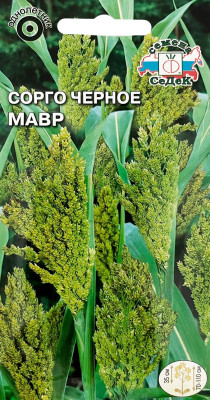 Сорго Мавр черное