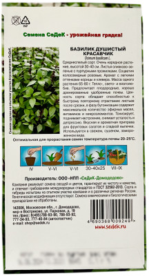 Базилик ДУШИСТЫЙ КРАСАВЧИК СеДеК описание