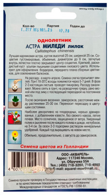 Астра Миледи лилак