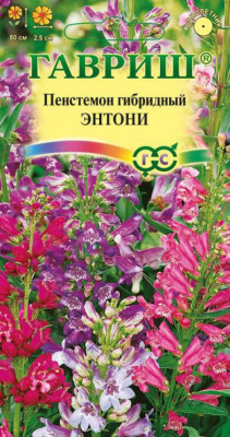 Пенстемон гибридный Энтони смесь 0,1г