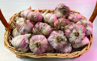 Чеснок головка Добрыня озимый (калибр 5) 1кг