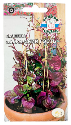 Базелла ЗАМОРСКИЙ ГОСТЬ СеДеК