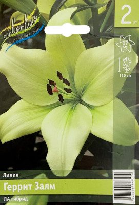 Лилия Геррит Залм (2шт)