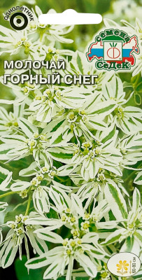 Молочай Горный снег СеДеК