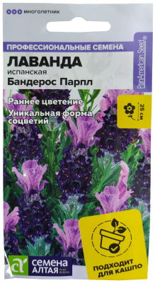 Лаванда испанская Парпл 5шт